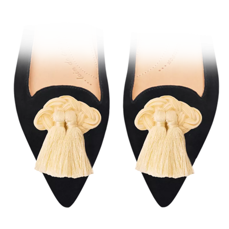 Pair of interchangeable clips in passementeries
